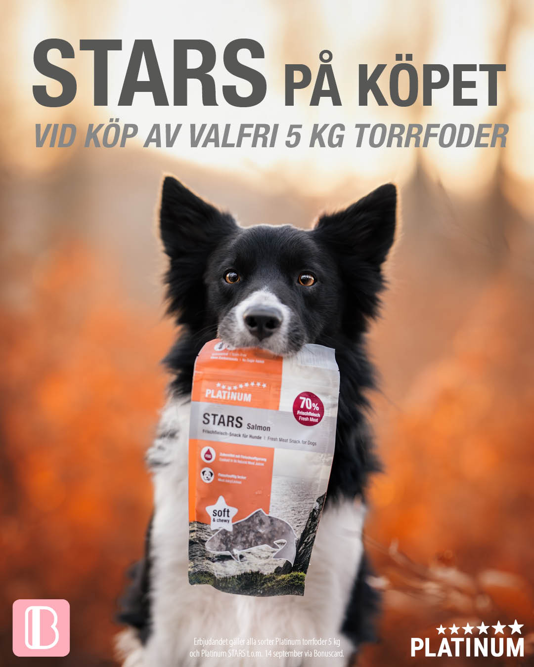 Bonuscard-kampanj